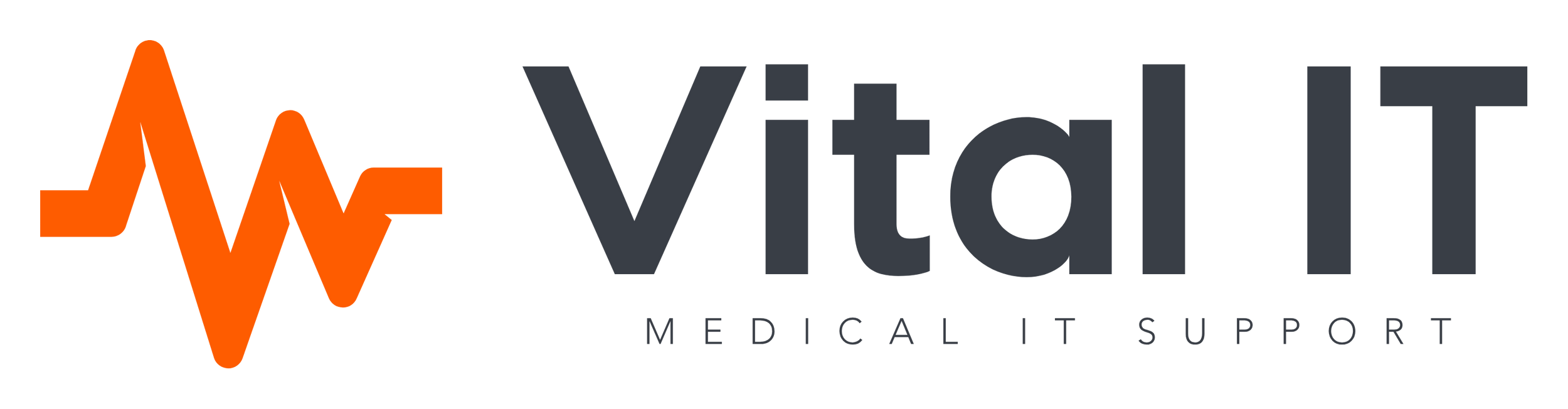 Vital IT Logo